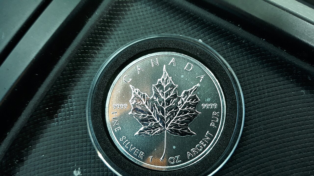Canadian Silver Maple Leaf in a protective capsule